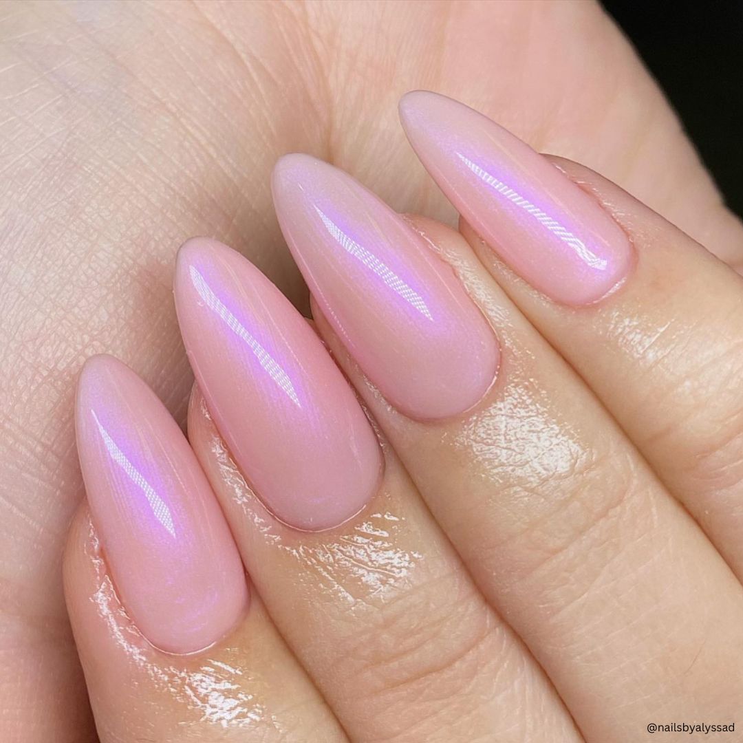 02 Seashell - Bio Seaweed Gel Canada