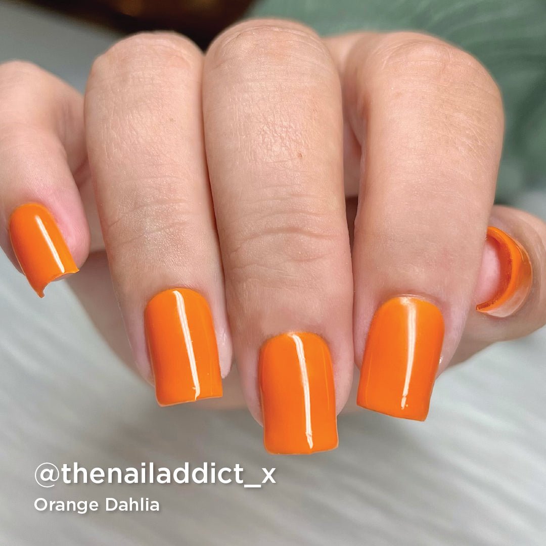 1030 Orange Dahlia - Bio Seaweed Gel Canada