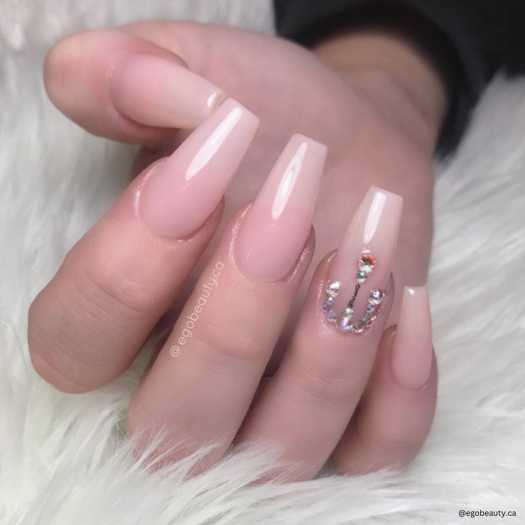 12 Tea Party - Bio Seaweed Gel Canada