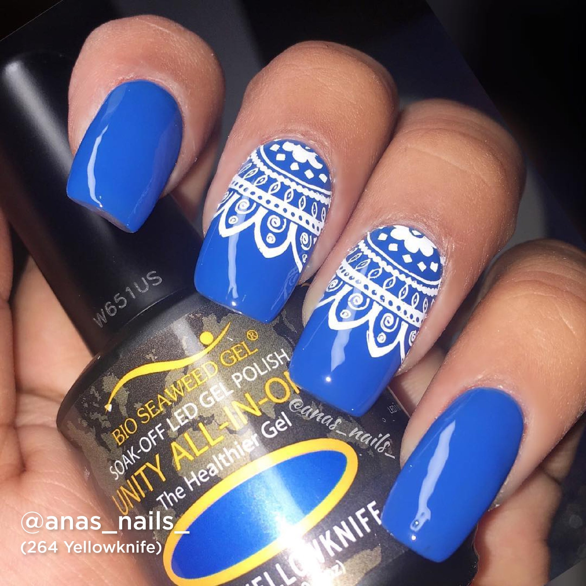 264 Yellowknife - Bio Seaweed Gel Canada