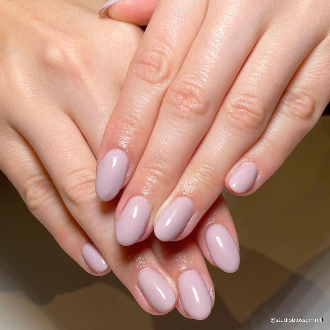 280 Hazelnut - Bio Seaweed Gel Canada