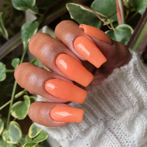 14 Tangy - Bio Seaweed Gel Canada