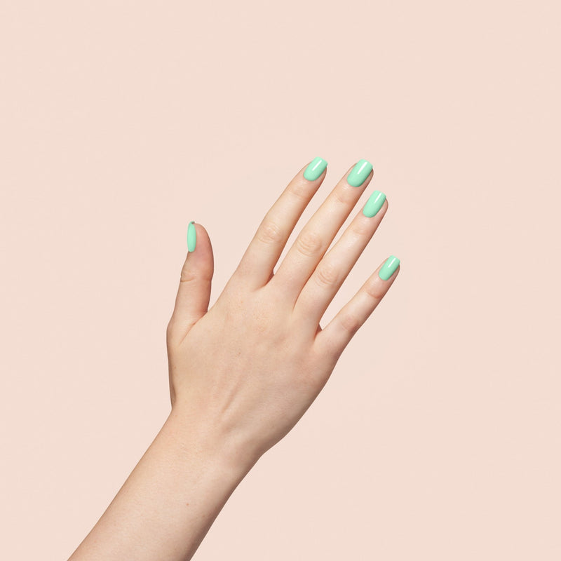 16 Seafoam - Bio Seaweed Gel Canada